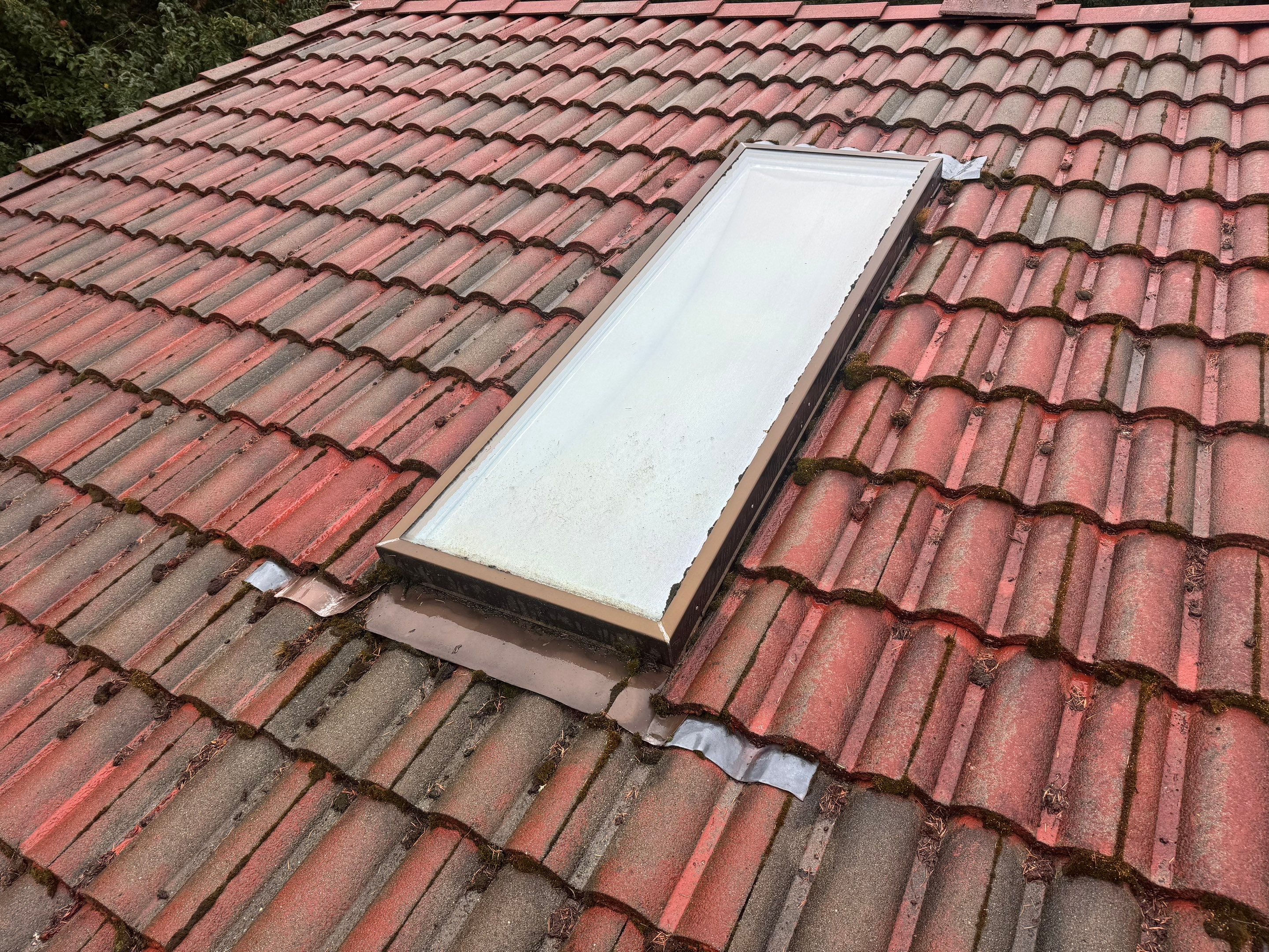 Real Amor roof cleaning project, before