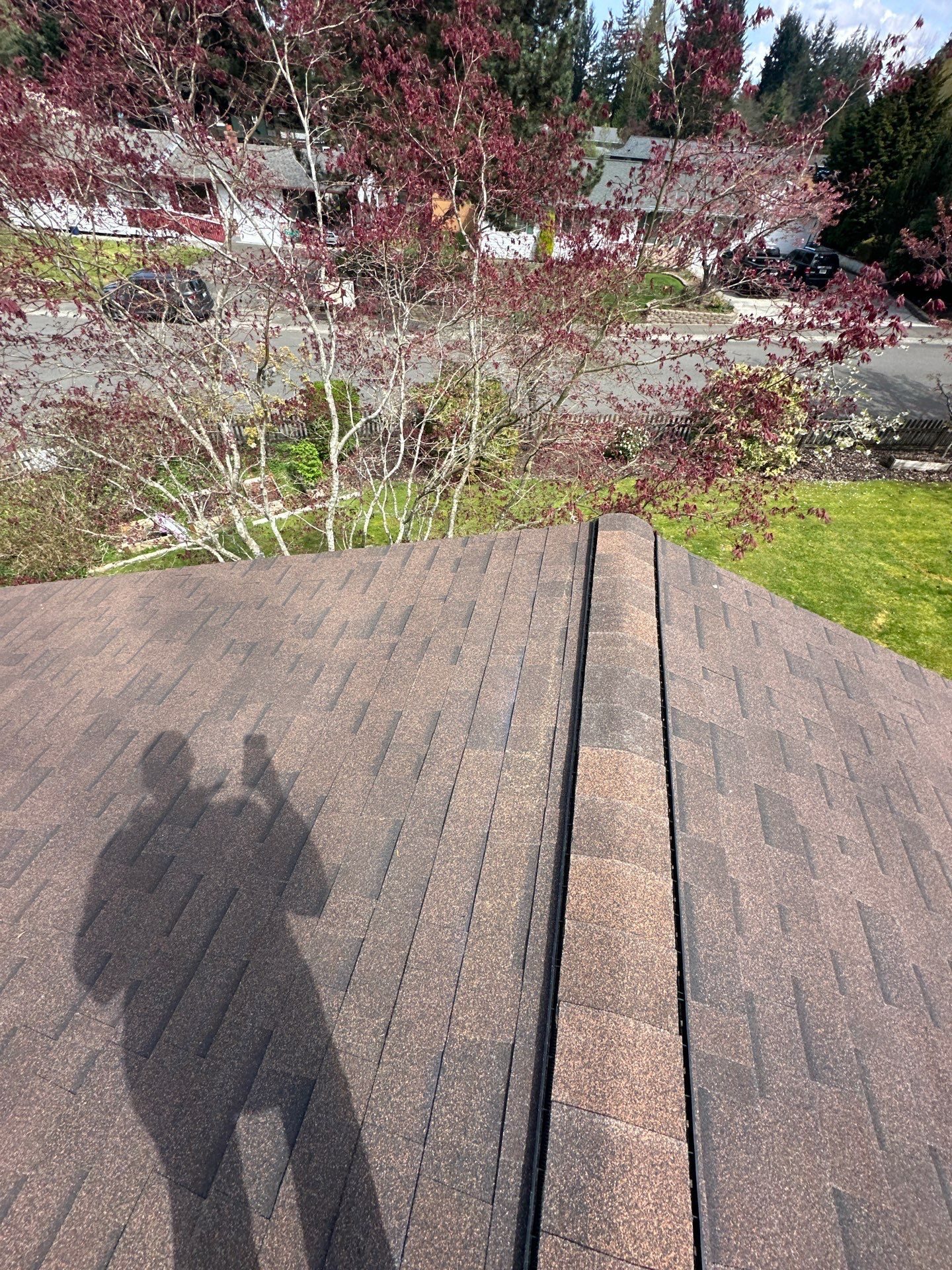 Antique Brown asphalt shingle roof installation on Everett, WA home, full property context