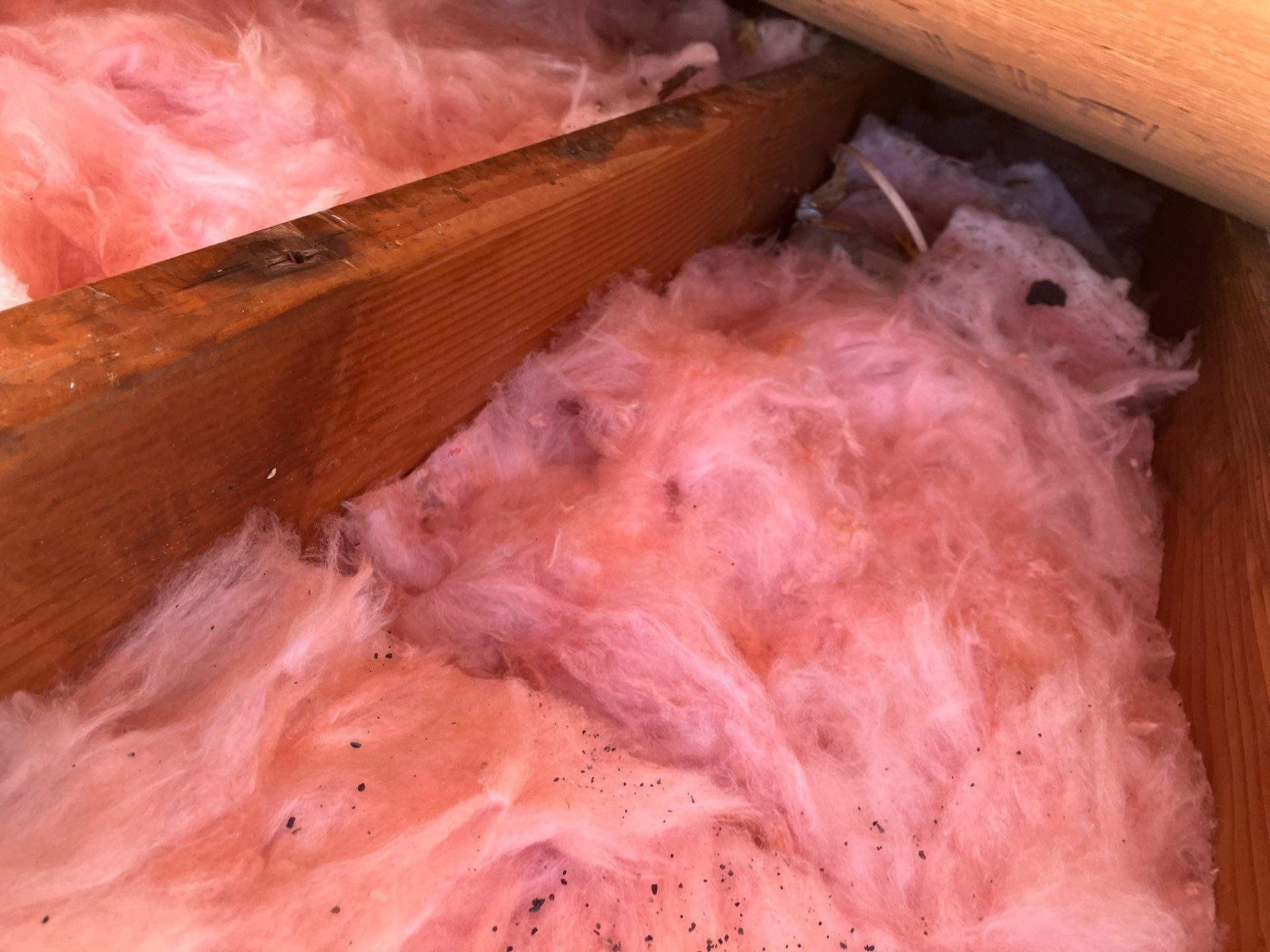 Roof decking and underlayment work on Lake Stevens, WA project by Amor Roofing