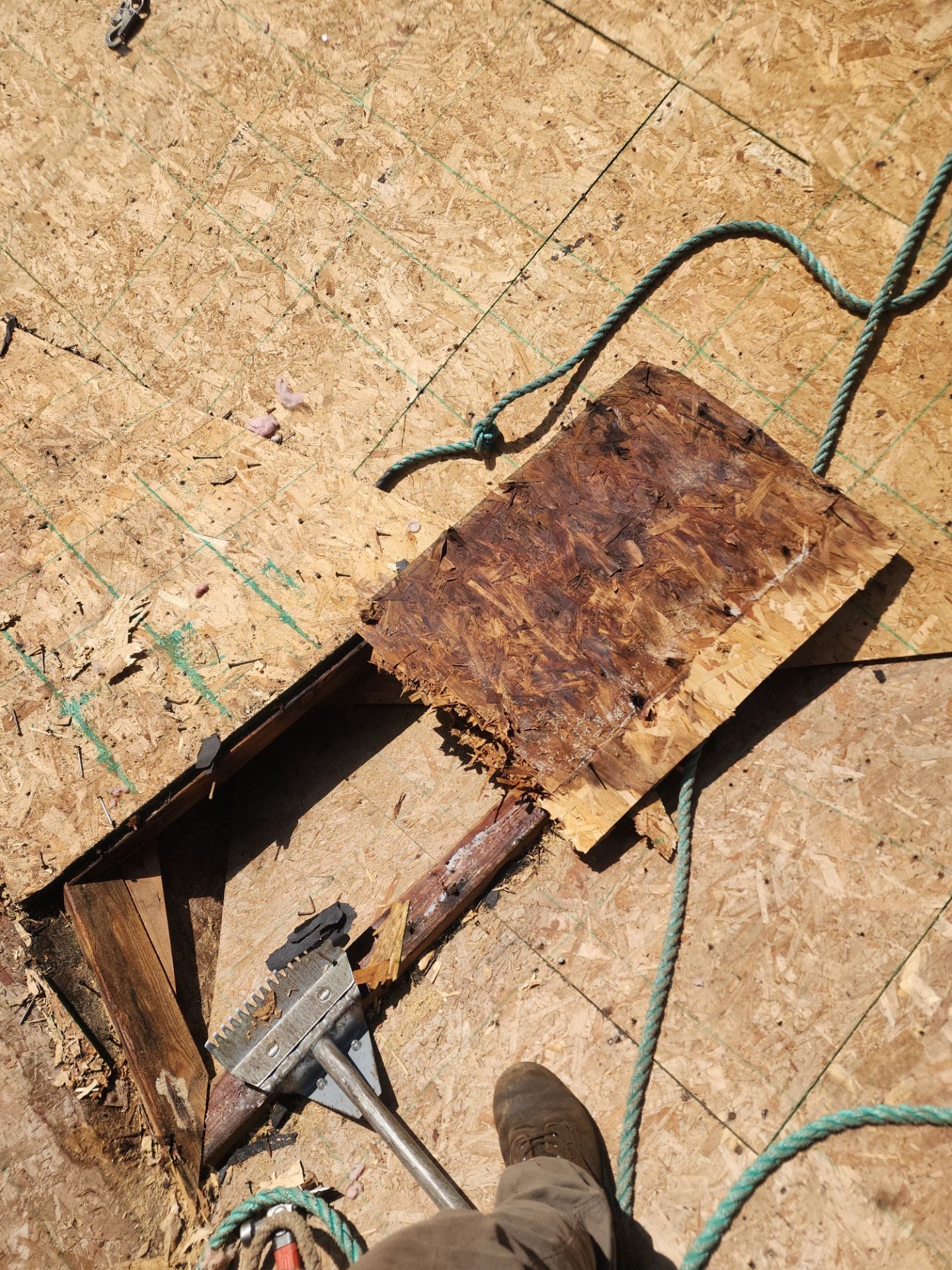 Tear-off and substrate exposure during Charcoal asphalt shingle install in Lake Stevens, WA