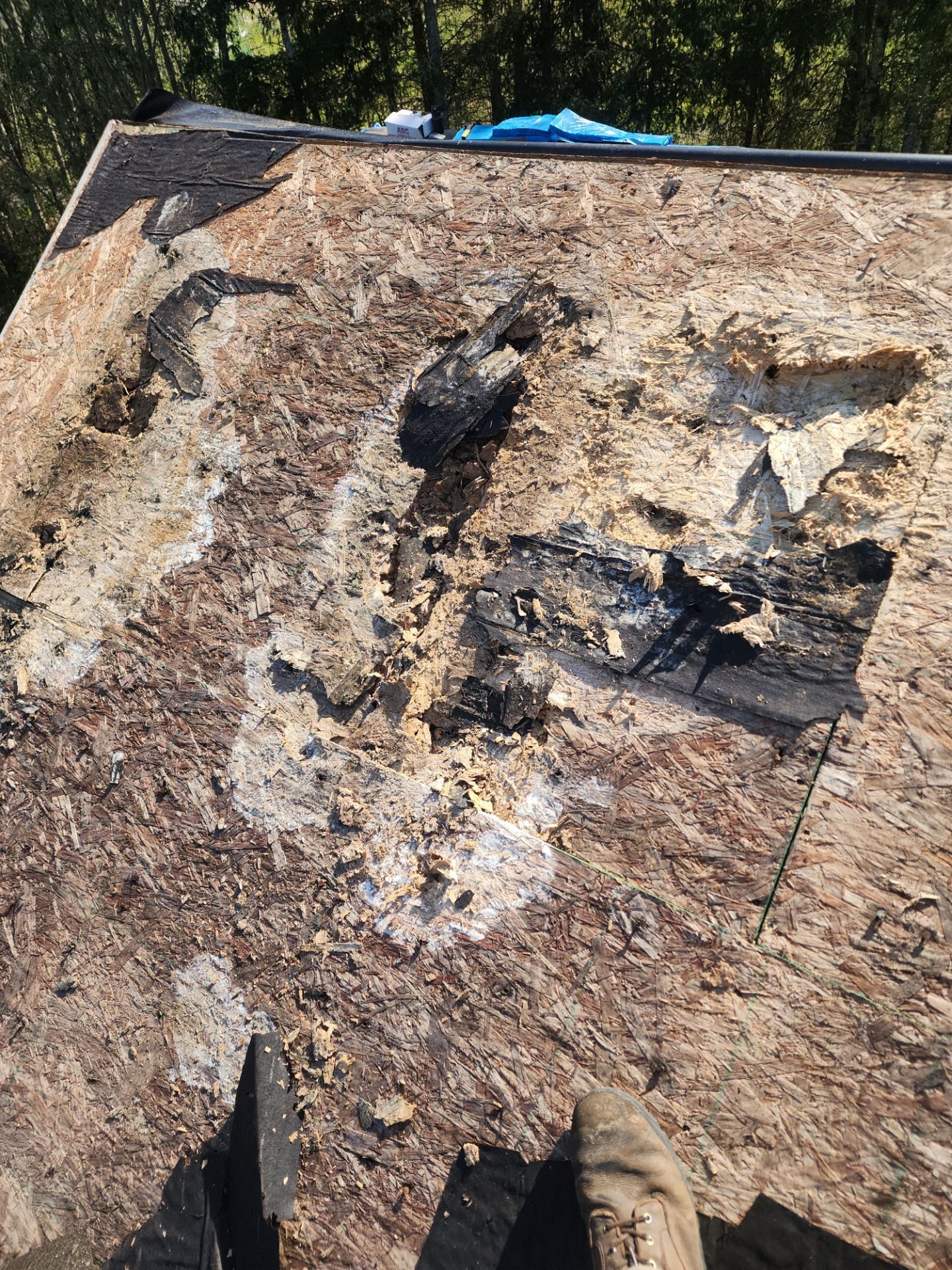 Process documentation during Charcoal asphalt shingle install in Lake Stevens, WA