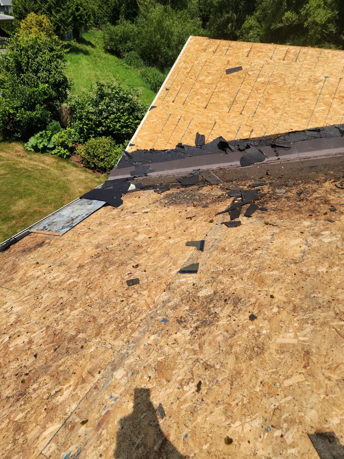 Roof decking and underlayment work on Lake Stevens, WA project by Amor Roofing
