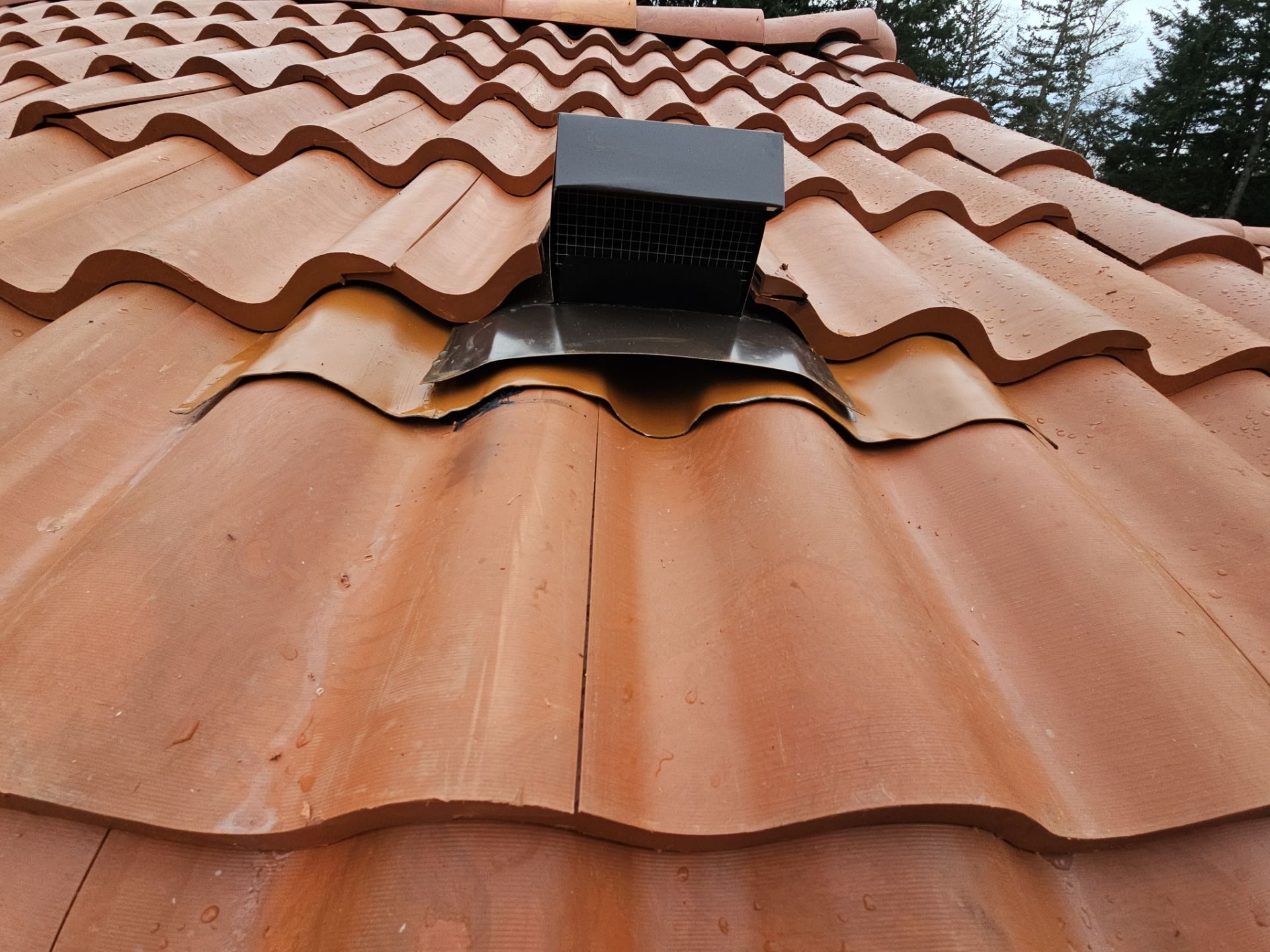 Antique Clay Brava Spanish barrel tile roof line and edge detail in Camano Island, WA