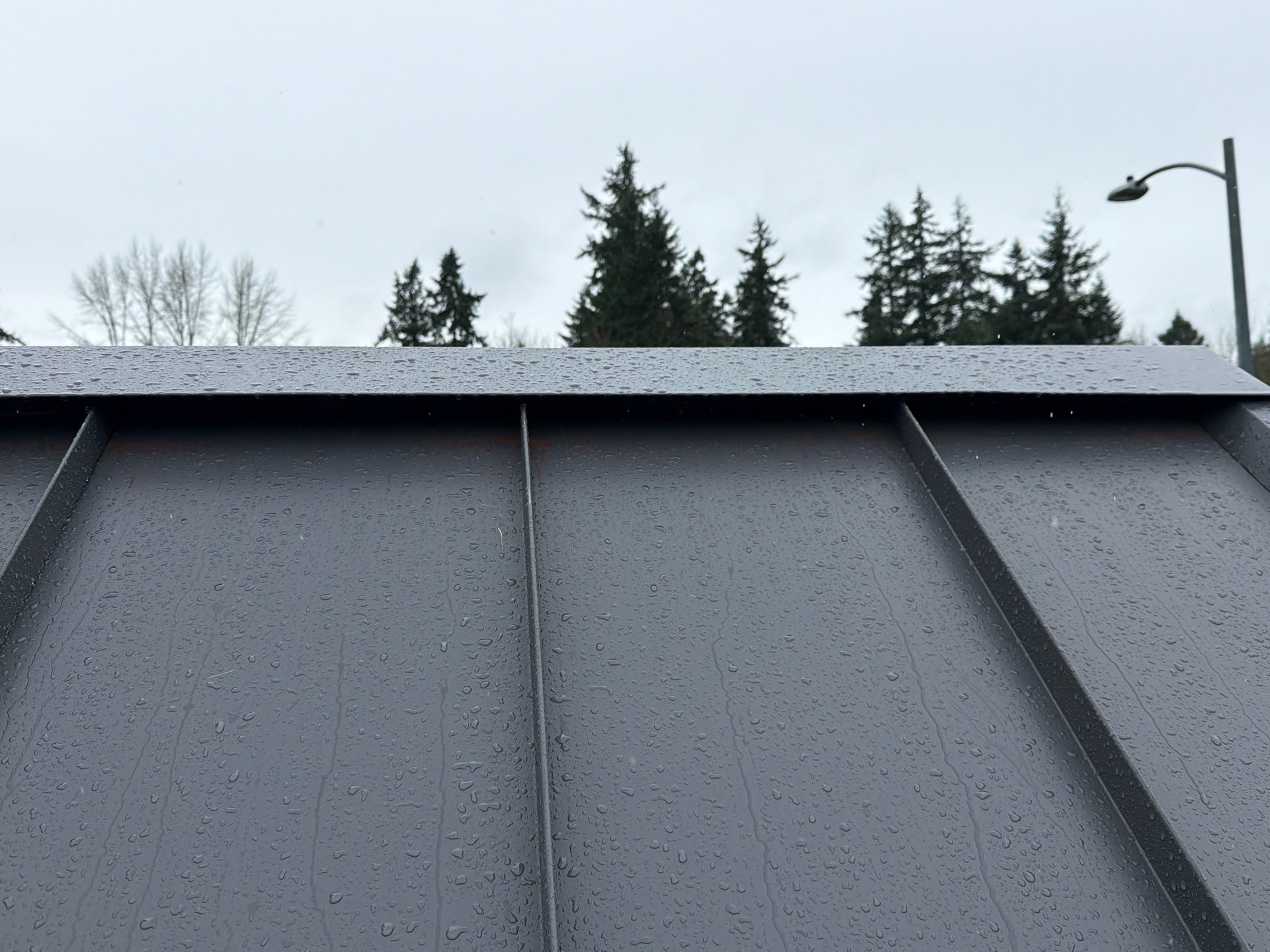 Gutter and roof edge detail on Cascade Gray standing seam metal roof in Woodinville