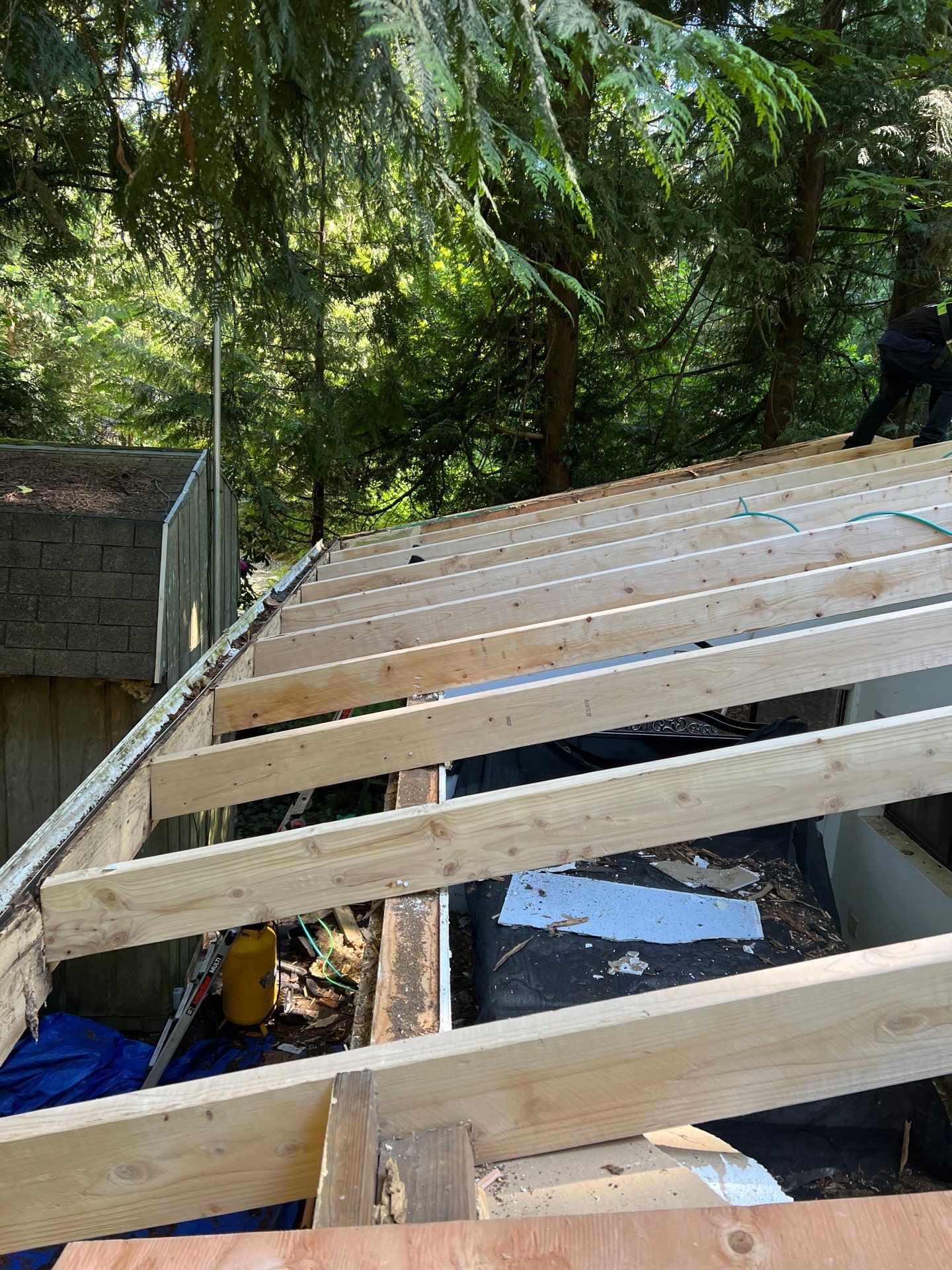 Roof plane detail showing Copper Penny standing seam metal pattern in Marysville, WA