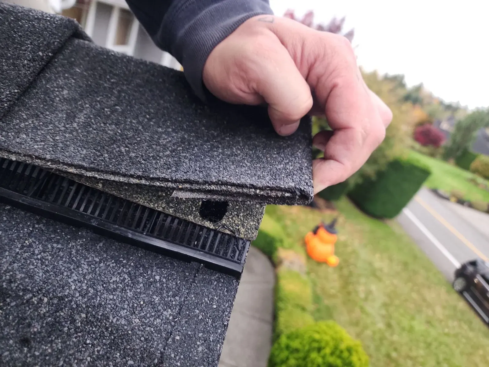 Roofer lifting an asphalt shingle to inspect the underlayment and decking beneath, Snohomish County